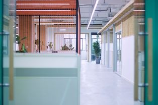 数字浪潮中的领航者——重庆IDC立洋孵化器市场营销策略的升级与创新