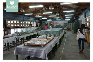 厂文青的时光之旅 在台东糖厂文创展览与DIY中重拾文艺创作